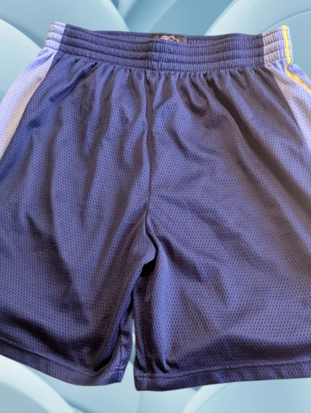 Men's Altitude Authentics Shorts